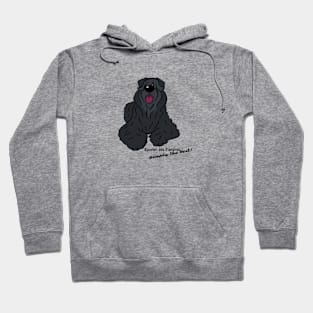 Bouvier des Flandres - Simply the best Hoodie